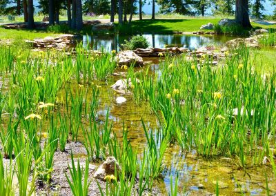 landscape design with pond